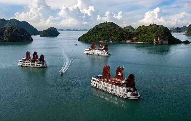 Pelican Luxury Cruises