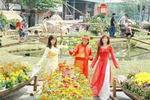 HCMCâ€™s 2008 Spring Flowers Festival attracts 400,000 visitors